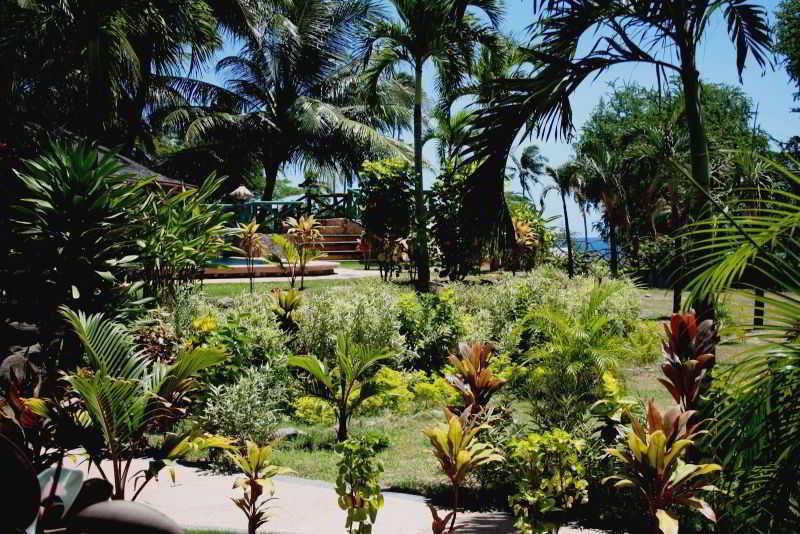 Aqua-Landia Resort Dauin Buitenkant foto